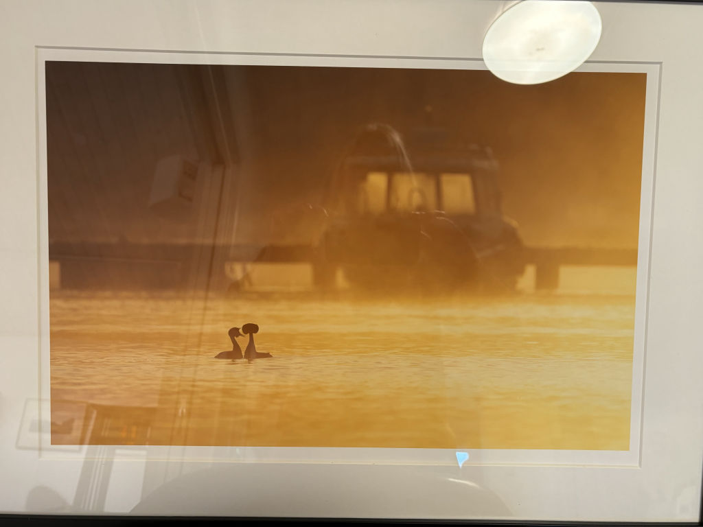 'Nr 5, foto', ett konstverk av Malin Slotte