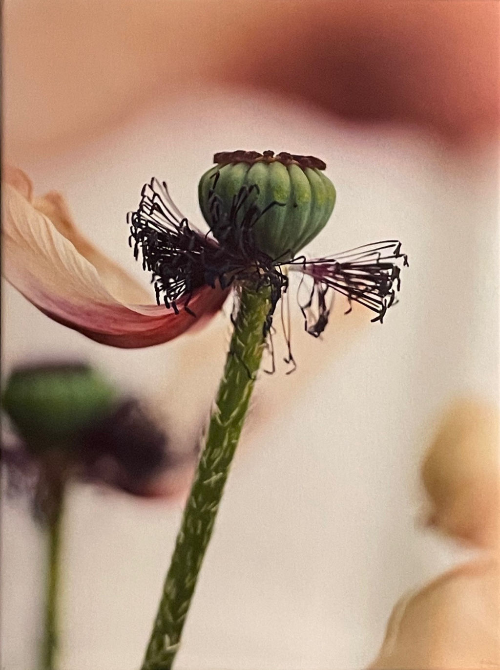 '551-704-00f', ett konstverk av Lena Martinsson