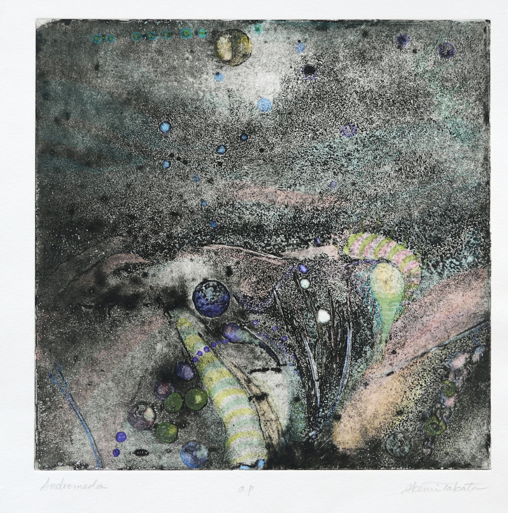 'Andromeda', ett konstverk av Akemi Takata