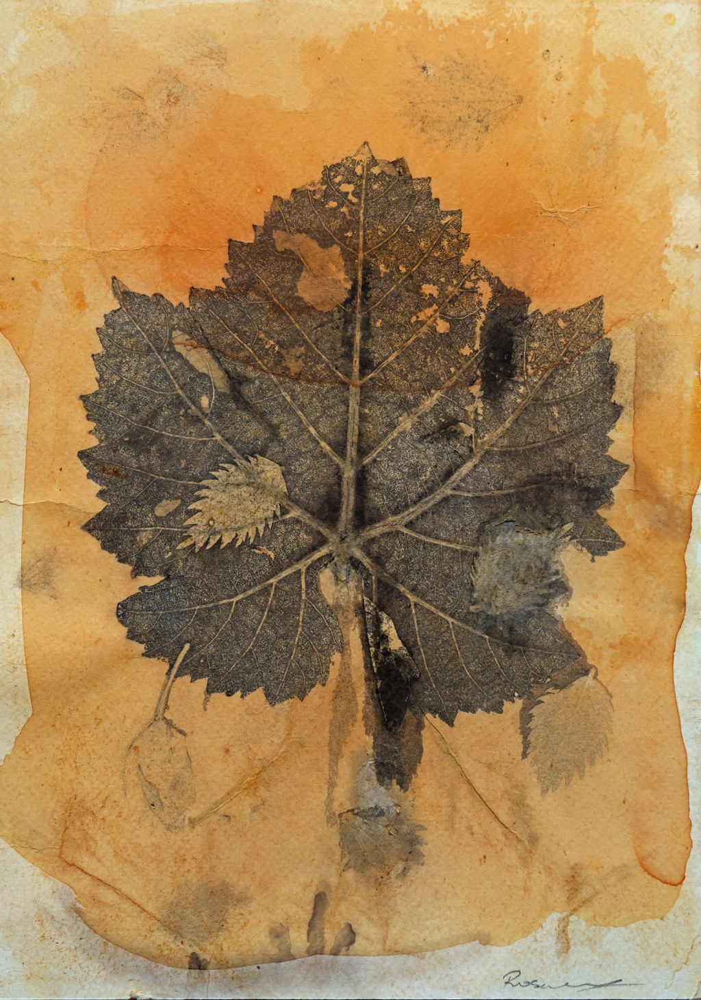 'Nässlor i vingården', ett konstverk av Rosalind Mudge