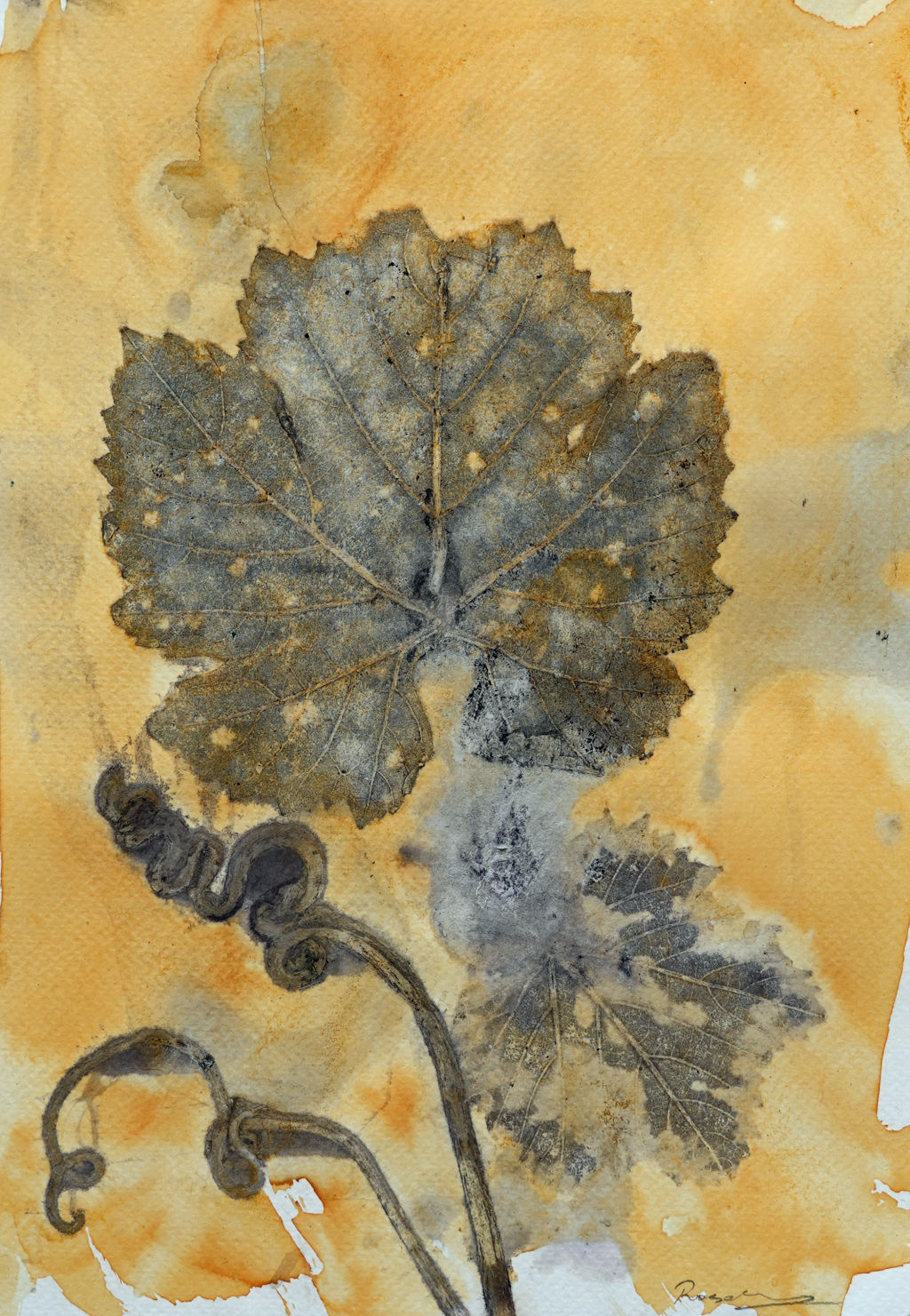 'Åhus vingård', ett konstverk av Rosalind Mudge