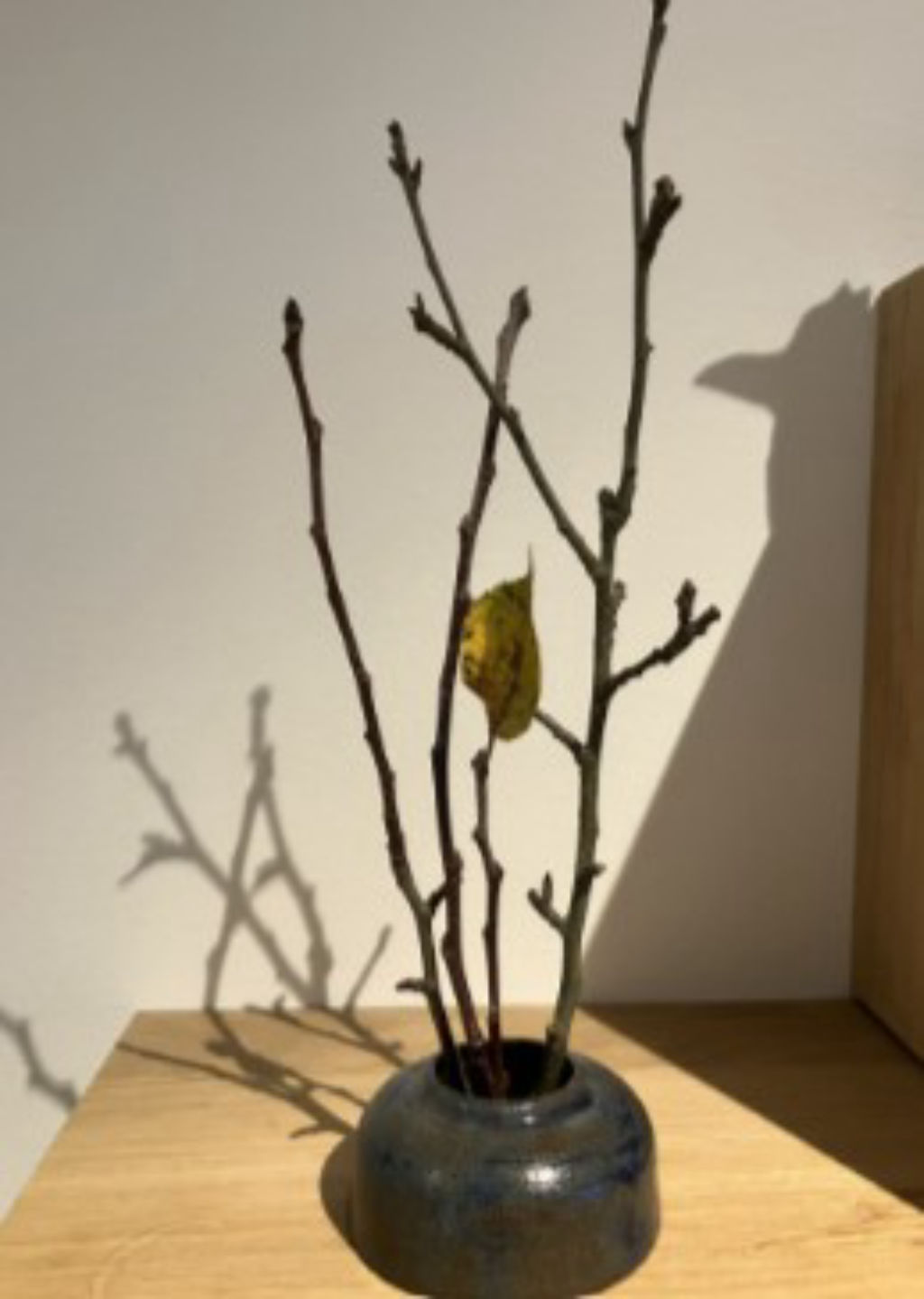 'Ikebana mörk', ett konstverk av Solange Korn Arvidsson