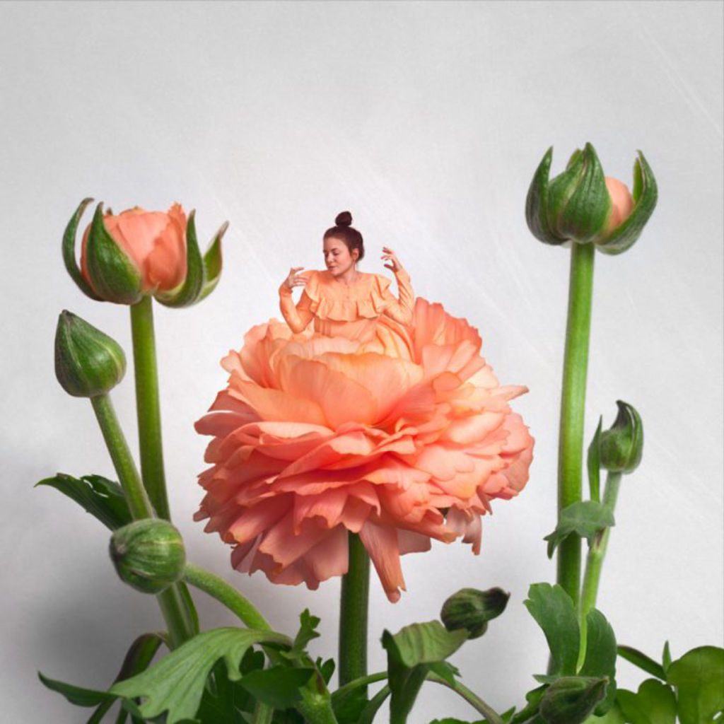 'Fotokonst ”Ranunculus”', ett konstverk av Sonja Hesslow