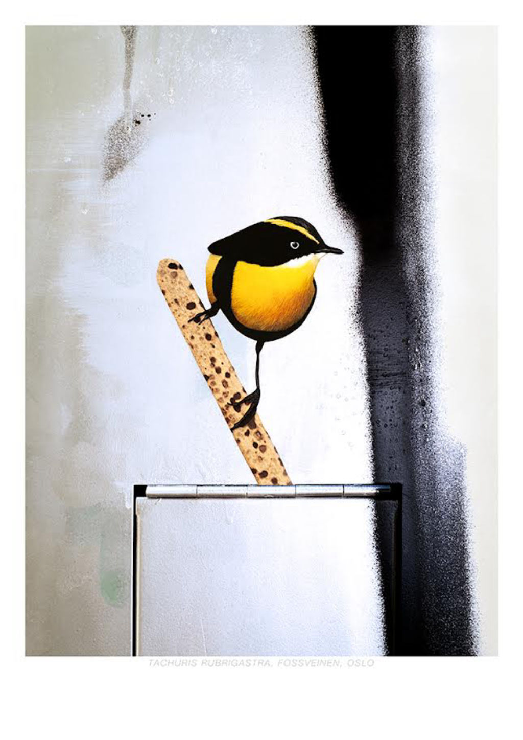 'Fotokons', ett konstverk av Erik Berglin