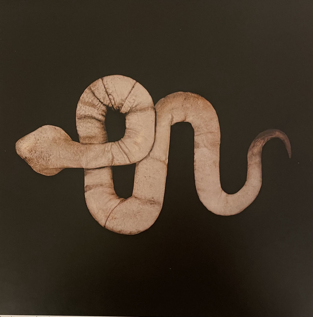 'Orm 5', 2024, ett konstverk av Anna-Karin Brus