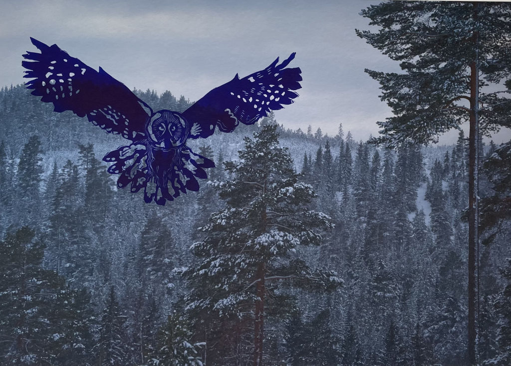 'Lappugglan slår i dagsljus', 2023, ett konstverk av Göran Boardy