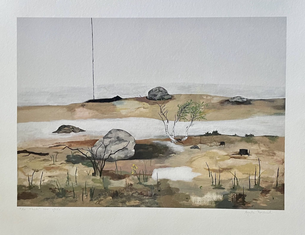 'Inuti', 2010, ett konstverk av Agneta Forslund