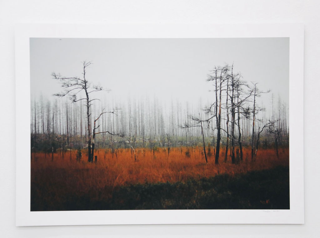 'I had expected more of reality', ett konstverk av Penja Hesselbäck