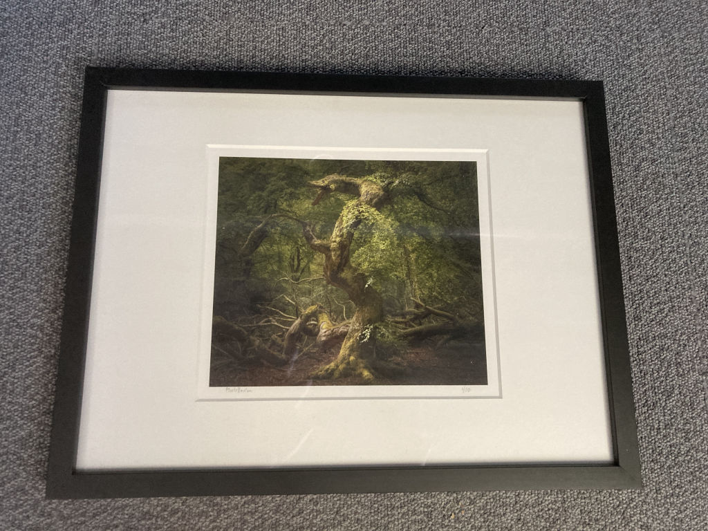 'Dragon', 2022, ett konstverk av Mats Reslow