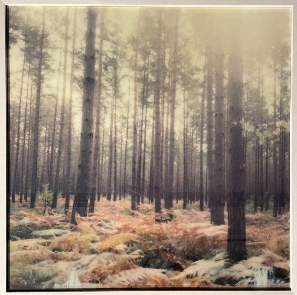 '11. Mayfly', ett konstverk av Martina Holmberg